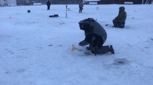 ещё одна форель на льду