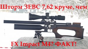 Шторм Зевс 7,62 круче FX Impact М4? Факт! Первый обзор винтовки и отстрел на 100 метров