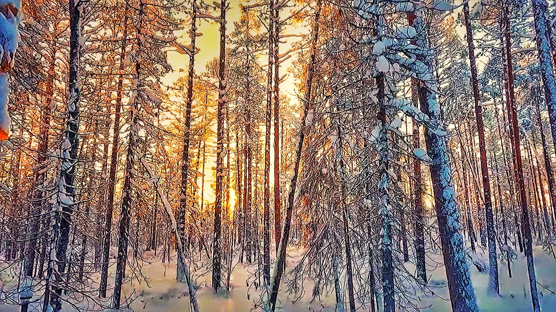 НОВОГОДНИЙ РЕЛАКС В ТАЙГЕ. ПОБЕГ ОТ СУЕТЫ, УЮТ ЛЕСНОЙ ИЗБЫ И АРОМАТ  КОЛБАСОК НА УГЛЯХ.