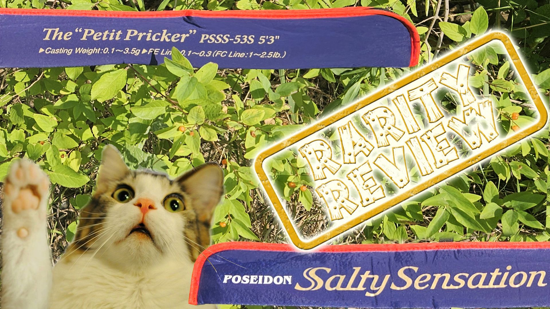 PSSS-53S — Ретро-Обзор спиннинга Evergreen Poseidon Salty Sensation The «Petit Pricker»