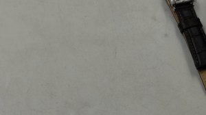 Grand Seiko sbgm221mod отправка