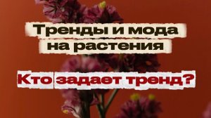 Кто задает тренды на растения в новом году? ☘️