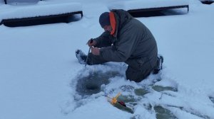 Светлые Горы Форель4 04.01.2026г.