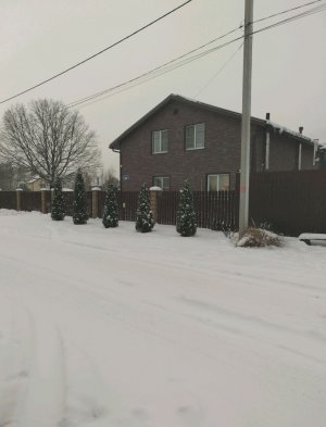 Делаем команды с собачками😙❤️