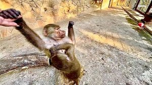 Пока Степа делает мне ШЕДЕВРАЛЬНУЮ прическу,Люська получает от девчонок такой релакс-это надо видеть