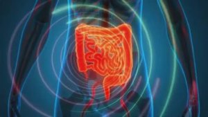 Исцеление Желудка, Поджелудочной Железы, Селезенки, Печени, Желчного Пузыря Частотой 110 Гц