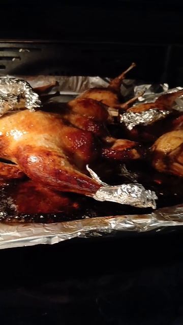 Уточка ,перепелка с мёдом. смотреть онлайн