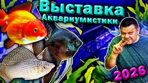 Выставка аквариумных рыбок 2026. Подготовка аквариумов [1 день]