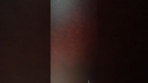 VID_20260104_150332.mp4