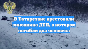 В Татарстане арестовали виновника ДТП, в котором погибли два человека