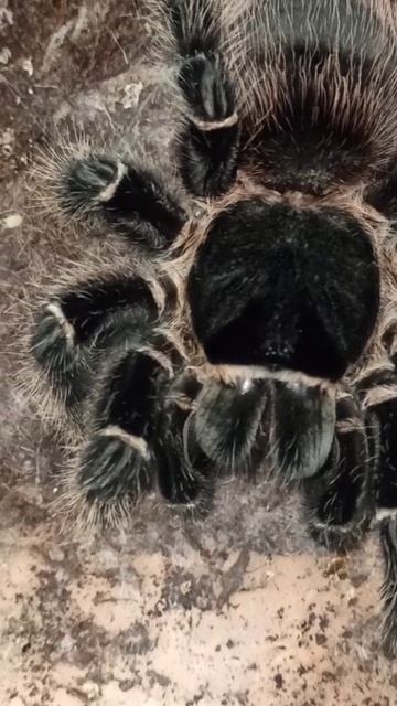 Машенька. 1 января 2025 год. смотреть онлайн