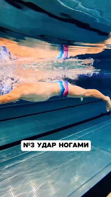 Цикл движения брассом ПОЭТАПНО