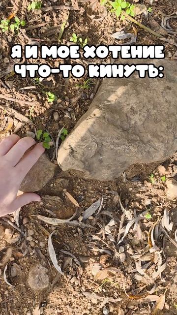 Моё Желание Что-то Кинуть смотреть онлайн