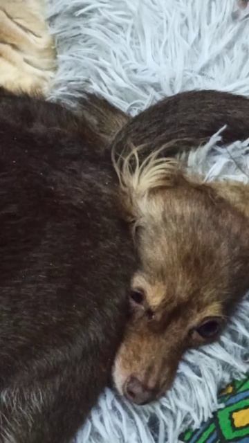 И так бывает!🤣 31 декабря 2025 г. смотреть онлайн