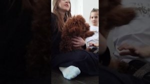 веселюсь у подруги в гостях