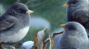 ЛЕГЕНДА О ВТОРОЙ ЖИЗНИ