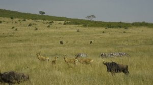 20251105 - MOST VIBRANT 16K ULTRA HD ｜ Dolby Vision HDR with REAL OLED Power