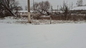 #обо_всем /предновогодняя поездка домой🏠🚂❤️