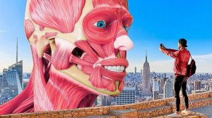 Если вы станете великаном хотя бы на день…