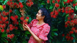 🍹 Я снова приготовила самые сладкие блюда из рамбутана в качестве новогоднего угощения!