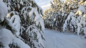 Зимушка зима в Сибири