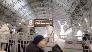 Поезд Деда Мороза 2026