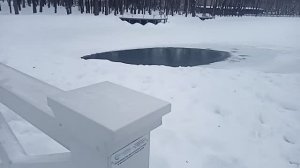 Прагулка по парку после новогодних праздников