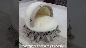 InShot_20251024_172405521.mp4