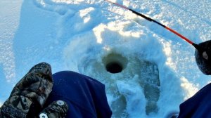 рыбалка там где рыбы нет