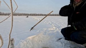 Проверка удочек. 31 день.