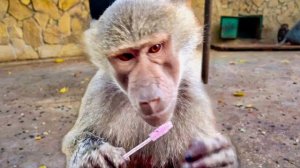 Мне показалось, что Люська ЧЕМ-ТО ОБЕСПОКОЕНА, а потом она у меня СТАЩИЛА щеточку для ресниц!