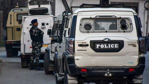 В Индии пенсионерка забила до смерти невестку из-за выплат после смерти сына