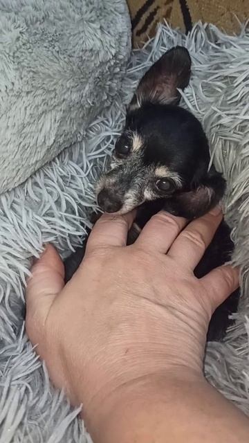 Джоник. 🥰 31 декабря 2025 г. смотреть онлайн