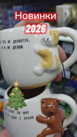 Новинки 2026 Фикс Прайс много интересного полезного привезли. Скидки огонь Фамилия. Зимний Сургут.