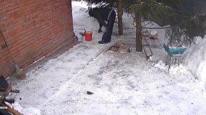 завтрак для зверят