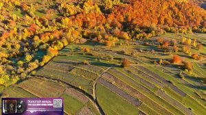 Золотой вихрь