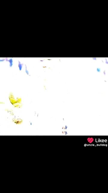 Like_7591541751347624357.mp4 смотреть онлайн