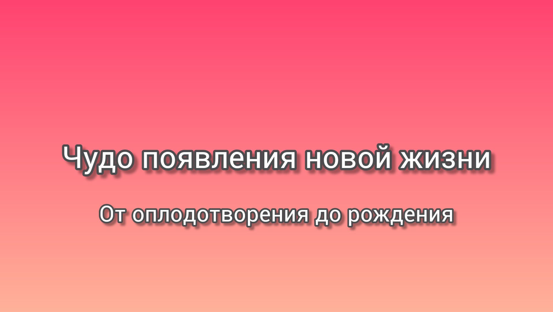 От оплодотворения до рождения