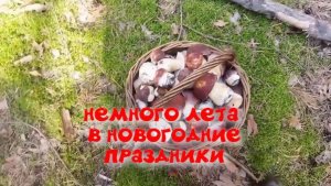 НЕМНОГО ЛЕТА В НОВОГОДНИЕ ПРАЗДНИКИ