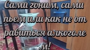 Сами гоним, сами пьем или как не отравиться алкоголем!