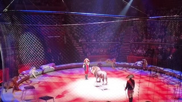 Стойкий оловяный солдатик Брянский цирк.  Аскольд Запашный смотреть онлайн