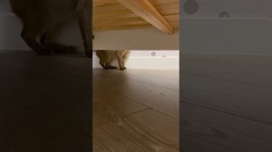 5 серия 1 сезон