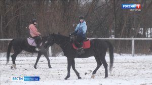 Конноспортивная школа в Белгороде работает с первых дней нового года