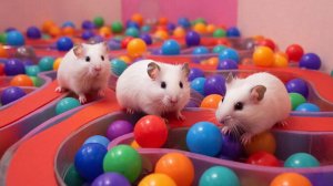 РАЗВЛЕКАТЕЛЬНОЕ ВИДЕО ДЛЯ ДЕТЕЙ