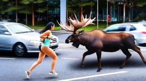 Мгновенное сожаление терпит неудачу в подборке 2025 , смешных и веселых людей из жизни