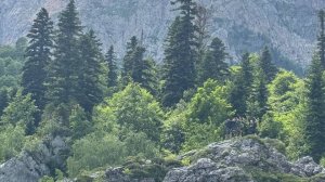 Приют Фишт Камень 2