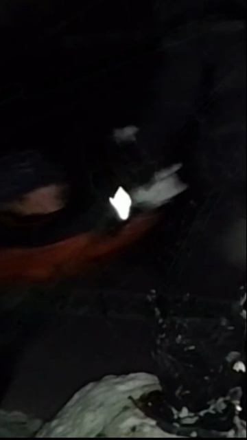 Новогодние игры на снегу short