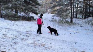 Поездка в лес 2026