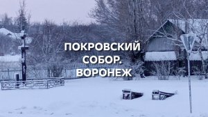 Покровский собор города Воронежа.