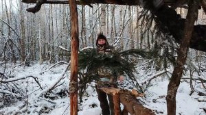 КАК СТАВИТЬ ПРОХОДНОЙ КАПКАН? СЛЕДЫ ЛОСЯ НА СНЕГУ. ПРОГУЛКА В ЛЕСУ.